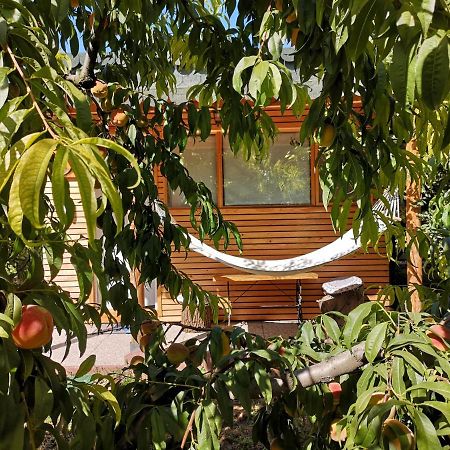 Villa Relax Eaza - Casa Cu Hamac Constanţa Exterior foto