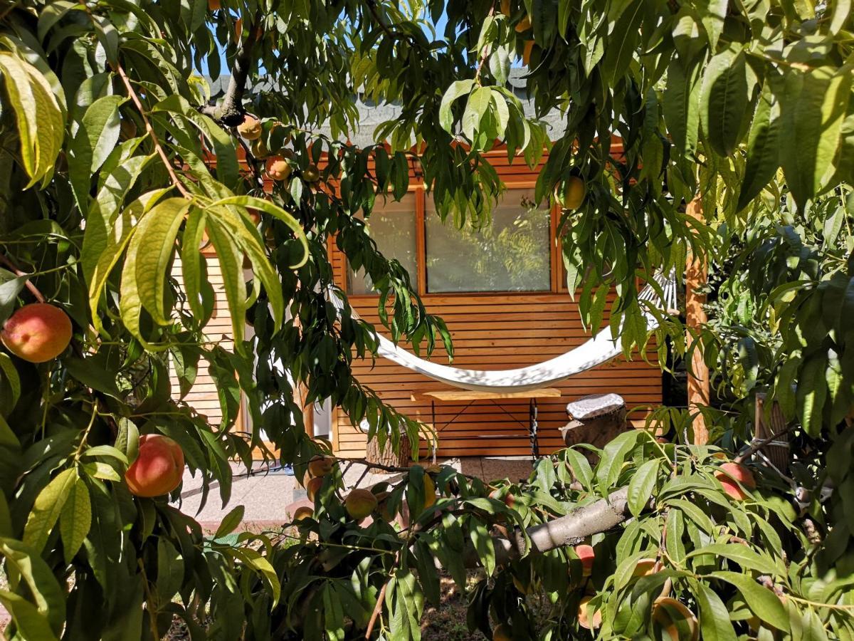 Villa Relax Eaza - Casa Cu Hamac Constanţa Exterior foto