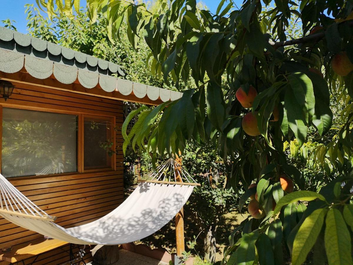 Villa Relax Eaza - Casa Cu Hamac Constanţa Exterior foto