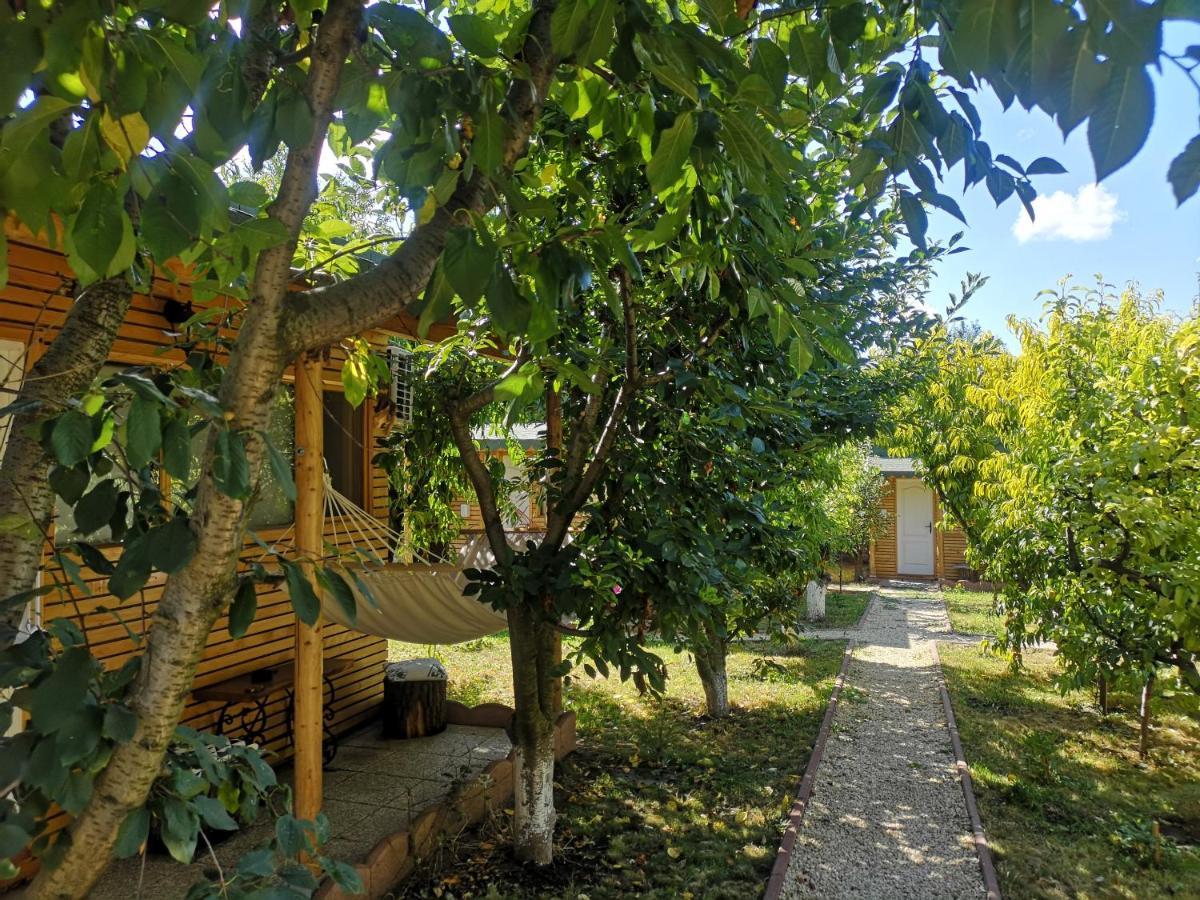 Villa Relax Eaza - Casa Cu Hamac Constanţa Exterior foto
