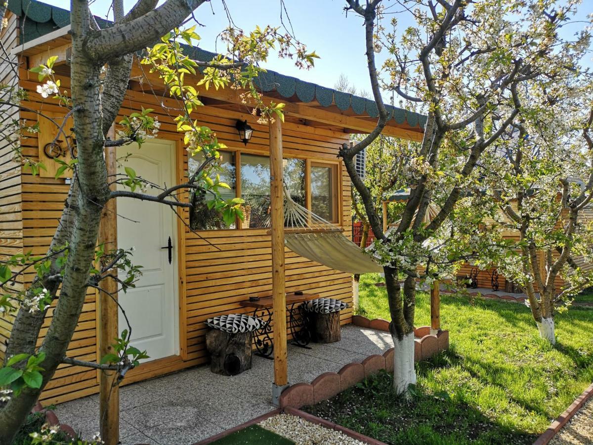 Villa Relax Eaza - Casa Cu Hamac Constanţa Exterior foto